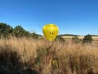 Hei&szlig;luftballon nach der Landung in der Natur.